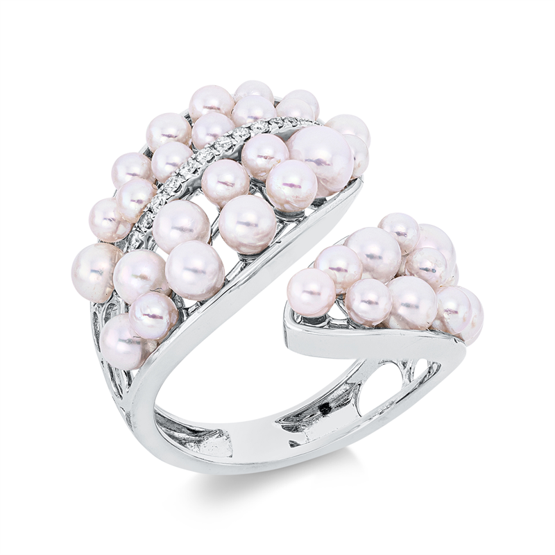 Image Ring 18 kt WG, 13 Brillanten 0,10 ct, TW-si, 36 SW weiß, Weite:53