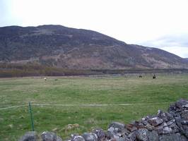 tag02/t_12-th.jpg