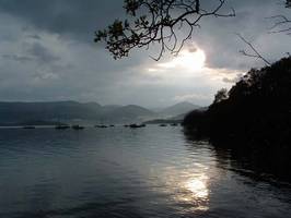 2004/tag07/t_6.jpg