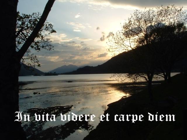 In Vita Videre